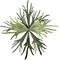 Artificial Staghorn Fern Plant – 20.9 Inches, Waterproof Faux Fern for Garden, Fall & Autumn Home Décor (Without Pot)